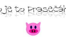 co_je_to_prasecak co_je_to_prasecak